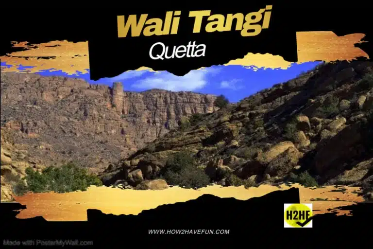WALI TANGI