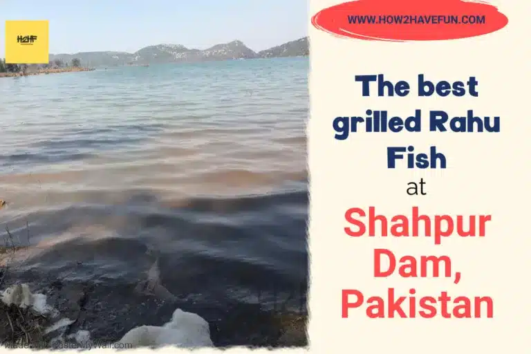 The best grilled Rahu Fish at Shahpur Dam, Pakistan