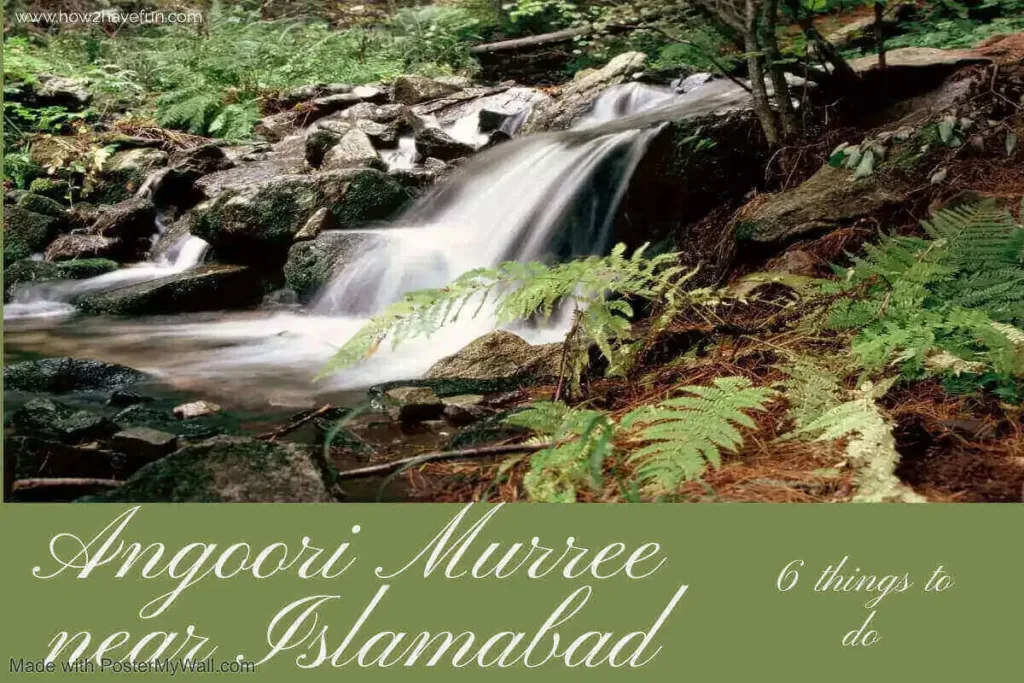 angoori murree