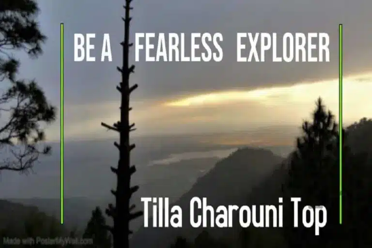Tilla Charouni Hike: The highest point of Margalla