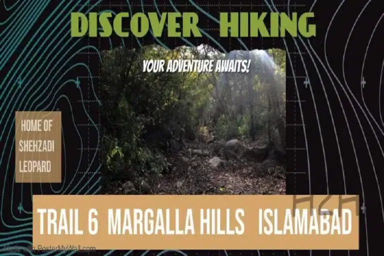 trail 6 islamabad