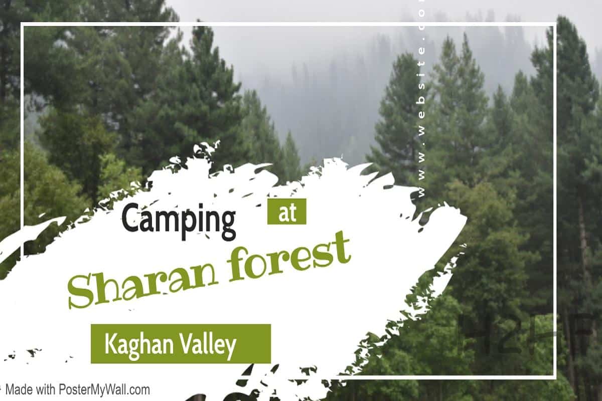 Sharaan forest