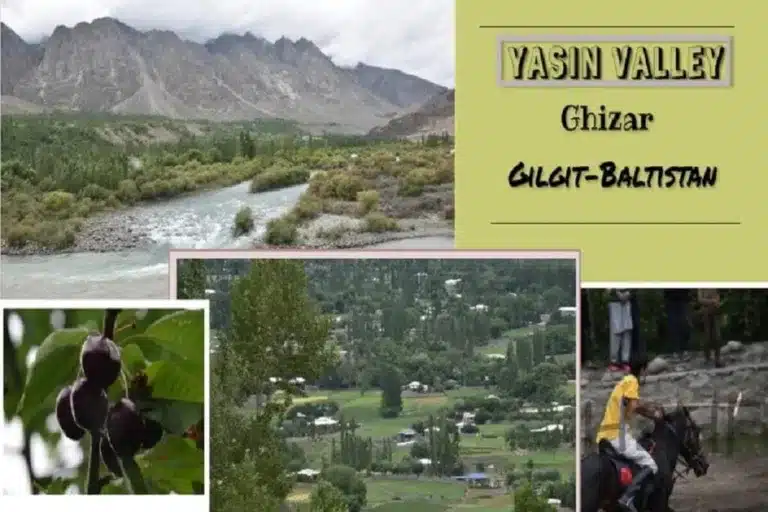 How to Plan a trip to Yasin Valley Ghizer Gilgit Baltistan